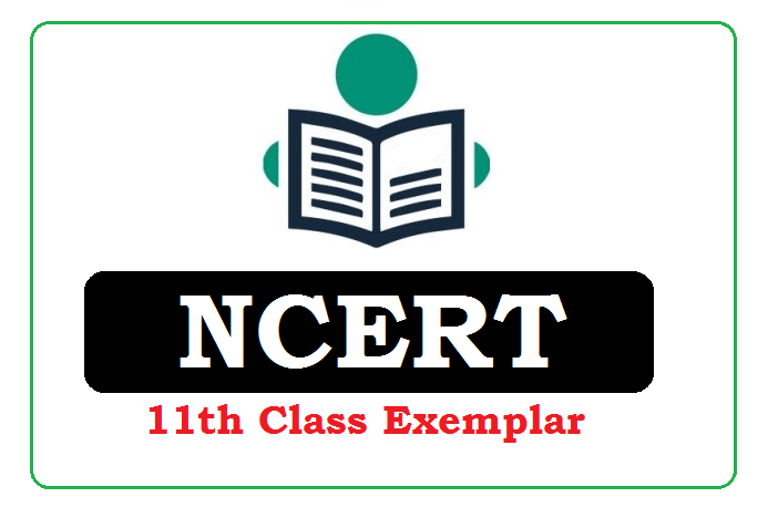 NCERT 11th Class Exemplar 2023, NCERT Exemplar 2023 for 11th Class 